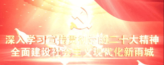 开云平台-雅超来了！雨城熊猫勇士队全力备战中